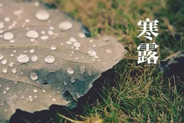 寒露是第幾個(gè)節(jié)氣 寒露是不是天氣就冷了 寒露是第幾個(gè)節(jié)氣 寒露是不是天氣就冷了