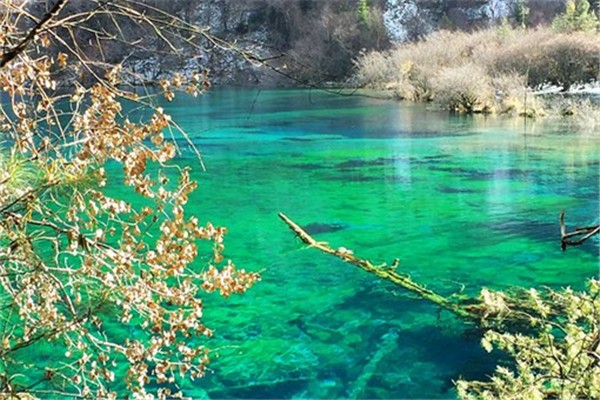 九寨溝在四川哪個(gè)城市 九寨溝適合哪個(gè)季節(jié)去 九寨溝在四川哪個(gè)城市 九寨溝適合哪個(gè)季節(jié)去