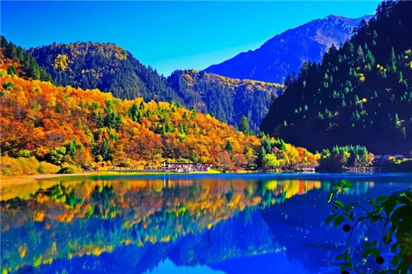 九寨溝在四川哪個(gè)城市 九寨溝適合哪個(gè)季節(jié)去 九寨溝在四川哪個(gè)城市 九寨溝適合哪個(gè)季節(jié)去