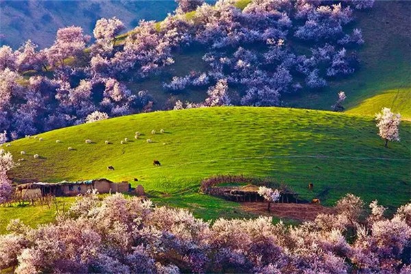 伊犁的旅游景點都有些什么地方 伊犁旅游最好的季節(jié) 伊犁的旅游景點都有些什么地方 伊犁旅游最好的季節(jié)