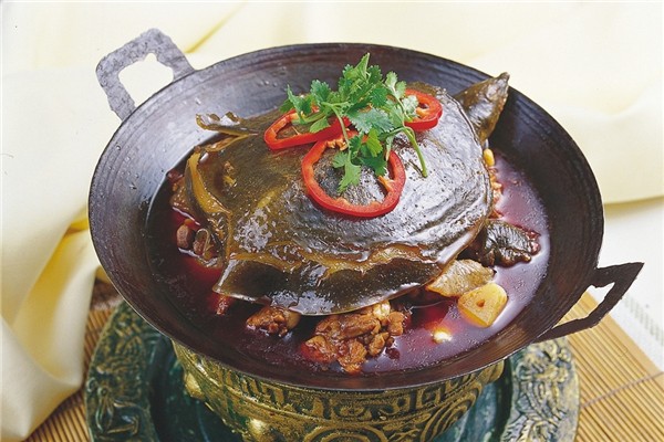 甲魚可以和雞一起燉嗎 甲魚和什么煲湯最有營(yíng)養(yǎng) 甲魚可以和雞一起燉嗎 甲魚和什么煲湯最有營(yíng)養(yǎng)