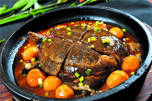 甲魚野生的和養(yǎng)殖的怎么區(qū)分 野生甲魚有什么滋補作用 甲魚野生的和養(yǎng)殖的怎么區(qū)分 野生甲魚有什么滋補作用