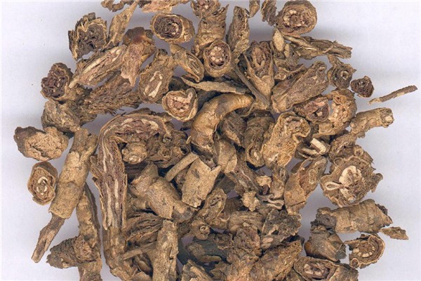 黃連可以降血糖嗎 黃連的功效和作用 黃連可以降血糖嗎 黃連的功效和作用