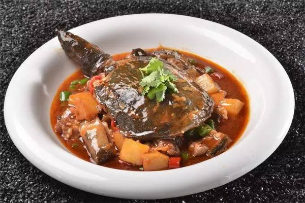 甲魚孕婦可以吃嗎 甲魚不適合什么人群吃 甲魚孕婦可以吃嗎 甲魚不適合什么人群吃