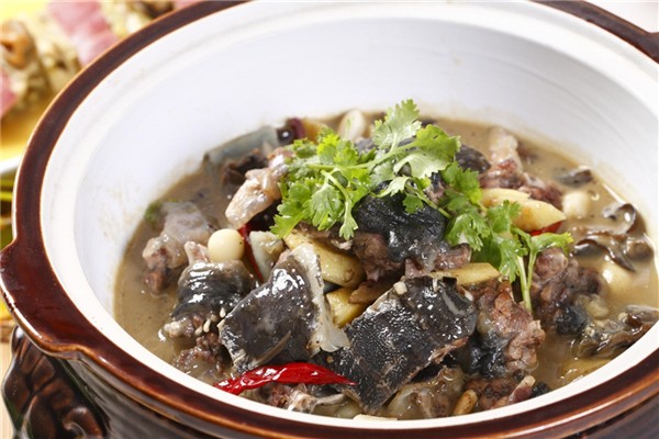 甲魚腥味很大是嗎 甲魚腥味怎么去除 甲魚腥味很大是嗎 甲魚腥味怎么去除