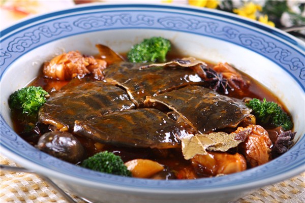 甲魚野生的和養(yǎng)殖的怎么區(qū)分 野生甲魚有什么滋補作用 甲魚野生的和養(yǎng)殖的怎么區(qū)分 野生甲魚有什么滋補作用