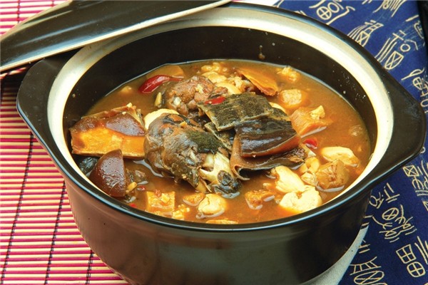 甲魚有膠原蛋白嗎 甲魚有什么營(yíng)養(yǎng)和功效 甲魚有膠原蛋白嗎 甲魚有什么營(yíng)養(yǎng)和功效