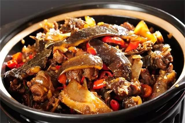 甲魚怎么燉補腎效果好 甲魚補腎效果好嗎 甲魚怎么燉補腎效果好 甲魚補腎效果好嗎