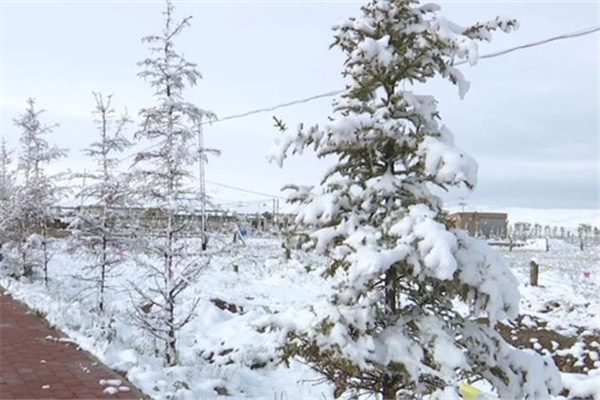 降雪需要什么條件 降雪一般達(dá)到多少度 降雪需要什么條件 降雪一般達(dá)到多少度