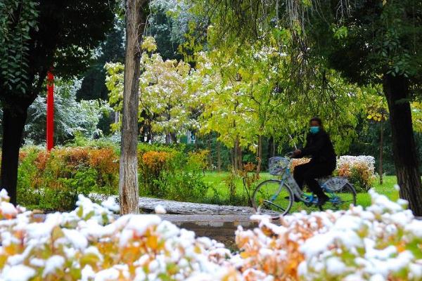 降雪的形成條件 降雪等級如何劃分 降雪的形成條件 降雪等級如何劃分