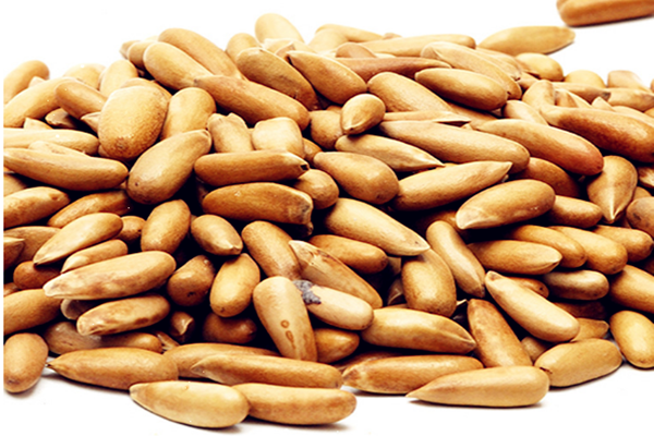 松子的熱量高嗎 松子減肥期間可以吃嗎 松子的熱量高嗎 松子減肥期間可以吃嗎