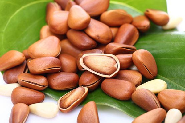 松子如何挑選 松子適合老年人吃嗎 松子如何挑選 松子適合老年人吃嗎