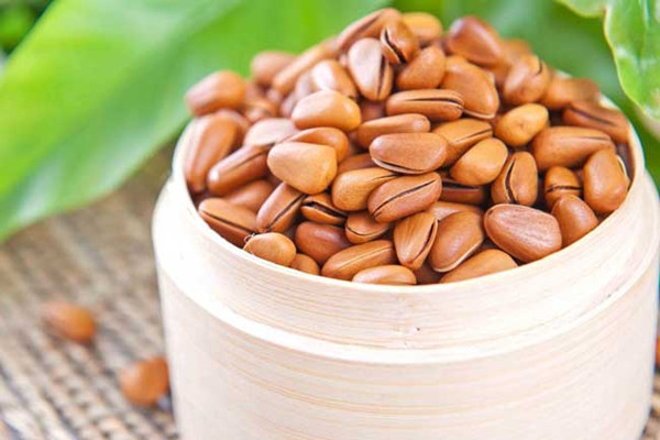 松子如何挑選 松子適合老年人吃嗎 松子如何挑選 松子適合老年人吃嗎