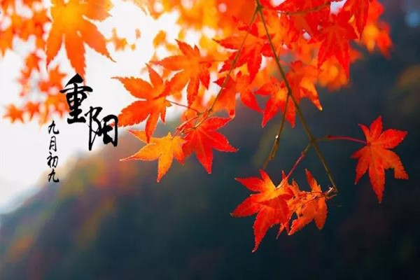 重陽(yáng)節(jié)為什么要吃重陽(yáng)糕 重陽(yáng)節(jié)吃重陽(yáng)糕有什么寓意 重陽(yáng)節(jié)為什么要吃重陽(yáng)糕 重陽(yáng)節(jié)吃重陽(yáng)糕有什么寓意