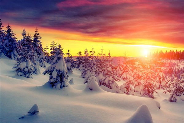 冬季吃蘿卜對(duì)身體有什么好處 冬季為什么要吃蘿卜 冬季吃蘿卜對(duì)身體有什么好處 冬季為什么要吃蘿卜