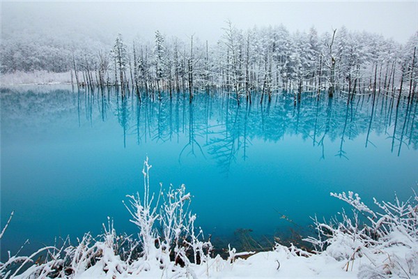 冬季吃蘿卜對(duì)身體有什么好處 冬季為什么要吃蘿卜 冬季吃蘿卜對(duì)身體有什么好處 冬季為什么要吃蘿卜