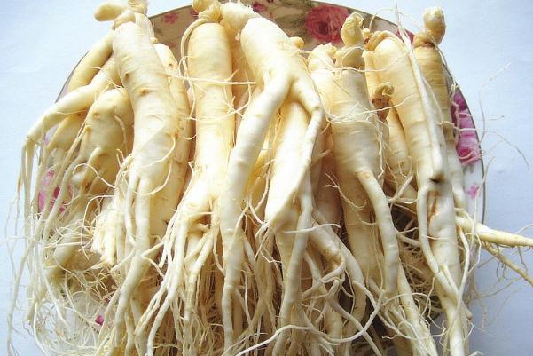 白參孕婦可以吃嗎 白參孕婦可以泡水喝嗎 白參孕婦可以吃嗎 白參孕婦可以泡水喝嗎