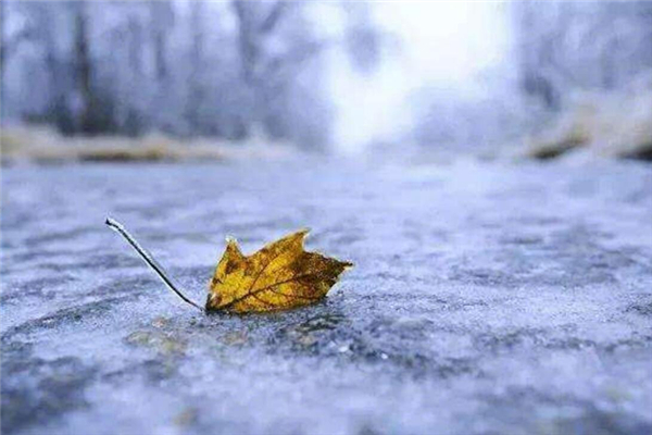 立冬會(huì)不會(huì)很冷 立冬要穿什么衣服 立冬會(huì)不會(huì)很冷 立冬要穿什么衣服