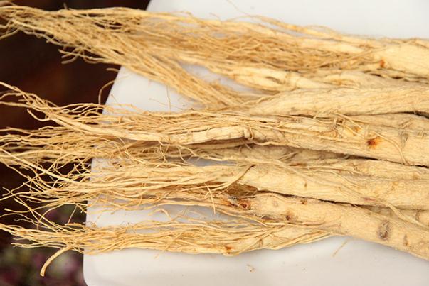 白參是上火還是降火 白參是寒性還是熱性的 白參是上火還是降火 白參是寒性還是熱性的