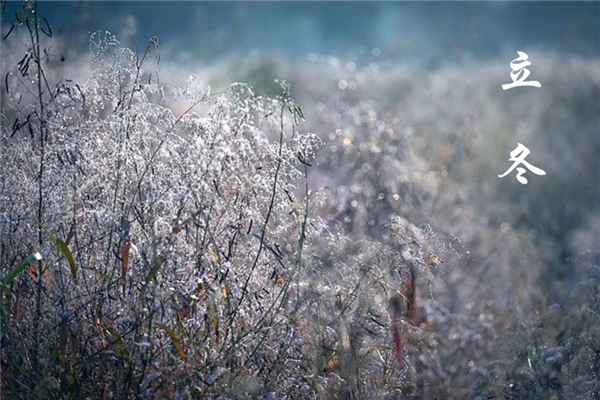 立冬會(huì)不會(huì)很冷 立冬要穿什么衣服 立冬會(huì)不會(huì)很冷 立冬要穿什么衣服