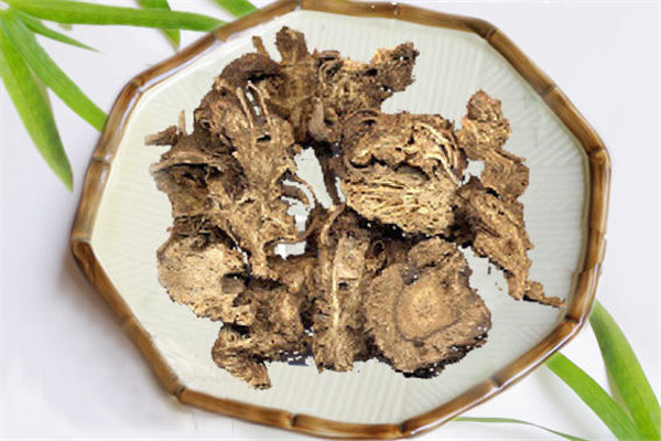 蒼術可以煲湯嗎 蒼術的功效和作用 蒼術可以煲湯嗎 蒼術的功效和作用