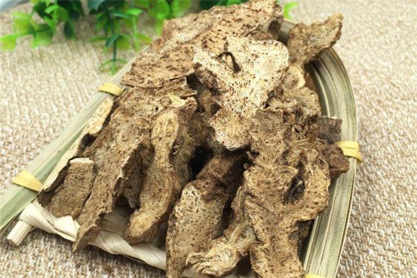 蒼術可以煲湯嗎 蒼術的功效和作用 蒼術可以煲湯嗎 蒼術的功效和作用