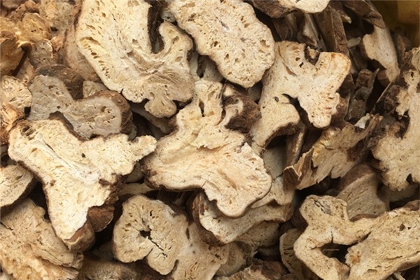 白術(shù)可以美白淡斑嗎 白術(shù)的功效和作用 白術(shù)可以美白淡斑嗎 白術(shù)的功效和作用