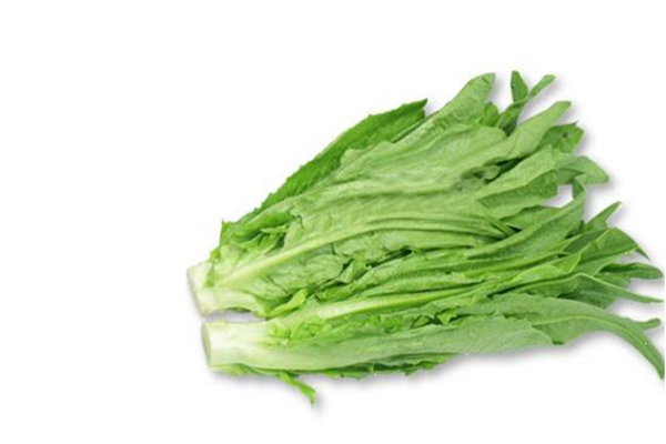 油麥菜是萵苣葉子嗎 油麥菜是什么季節(jié)的蔬菜 油麥菜是萵苣葉子嗎 油麥菜是什么季節(jié)的蔬菜