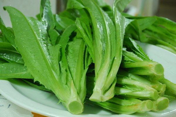 油麥菜是萵苣葉子嗎 油麥菜是什么季節(jié)的蔬菜 油麥菜是萵苣葉子嗎 油麥菜是什么季節(jié)的蔬菜