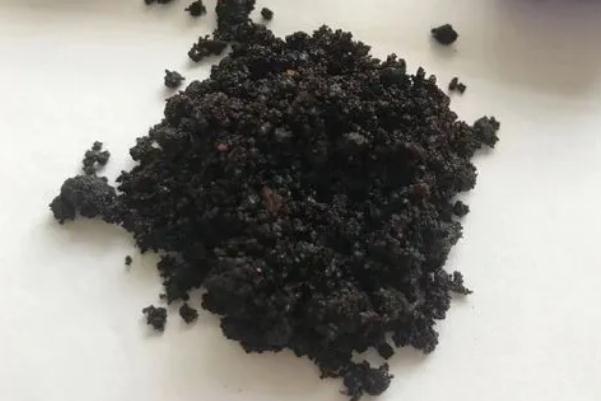 麝香對小孩子有傷害嗎 麝香對嬰兒有影響嗎 麝香對小孩子有傷害嗎 麝香對嬰兒有影響嗎