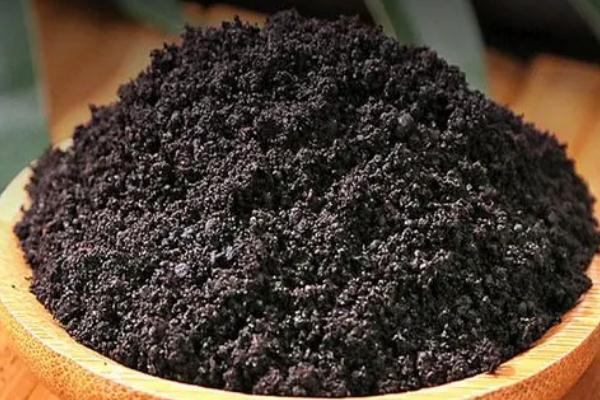 人工麝香對(duì)備孕有沒(méi)有影響 人工麝香能泡酒嗎 人工麝香對(duì)備孕有沒(méi)有影響 人工麝香能泡酒嗎