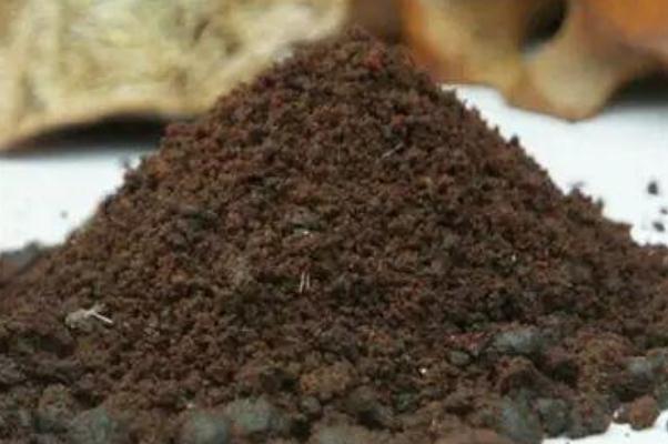 人工麝香會(huì)導(dǎo)致流產(chǎn)嗎 人工麝香對(duì)孕婦有什么危害 人工麝香會(huì)導(dǎo)致流產(chǎn)嗎 人工麝香對(duì)孕婦有什么危害