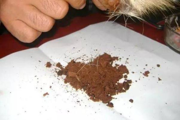 人工麝香會(huì)導(dǎo)致流產(chǎn)嗎 人工麝香對(duì)孕婦有什么危害 人工麝香會(huì)導(dǎo)致流產(chǎn)嗎 人工麝香對(duì)孕婦有什么危害