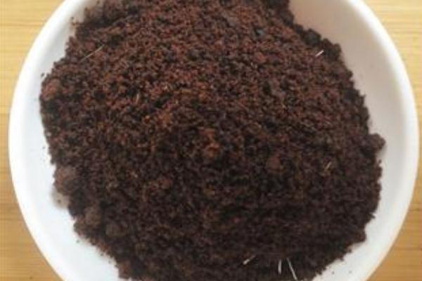 麝香對(duì)腫瘤的功效 麝香對(duì)女人的危害 麝香對(duì)腫瘤的功效 麝香對(duì)女人的危害