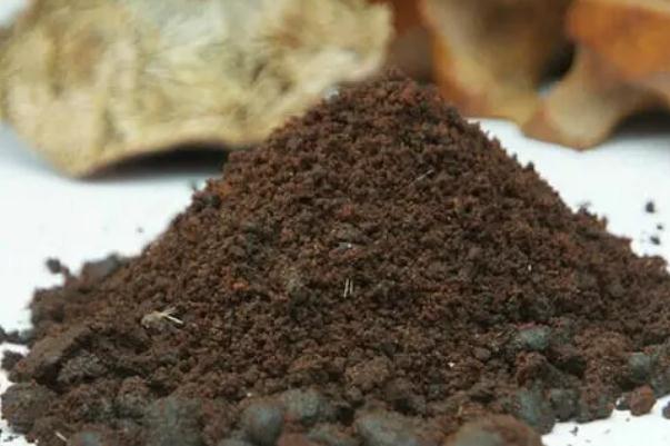 麝香的功效與作用 麝香的副作用 麝香的功效與作用 麝香的副作用