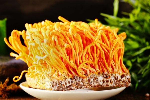 蟲草花哪些人不能吃 蟲草花和什么相克 蟲草花哪些人不能吃 蟲草花和什么相克