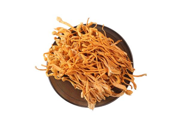 蟲草花是涼性的還是熱性的 蟲草花是什么東西長出來的 蟲草花是涼性的還是熱性的 蟲草花是什么東西長出來的