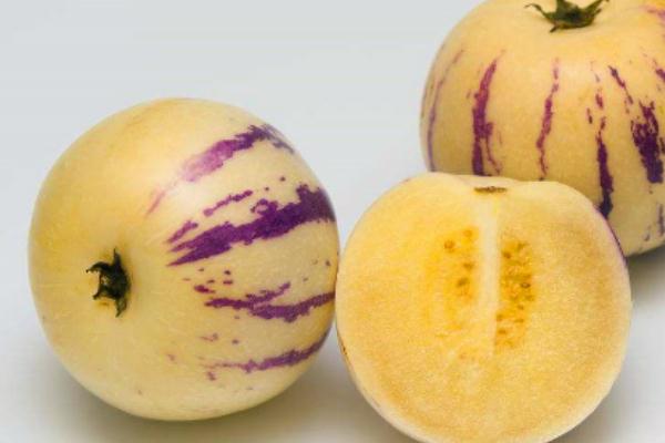 人參果會上火嗎 人參果上火的還是去火的 人參果會上火嗎 人參果上火的還是去火的