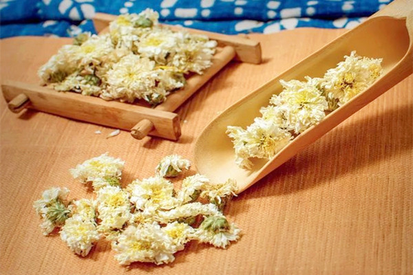 菊花茶可以降血壓嗎 菊花茶可以空腹喝嗎 菊花茶可以降血壓嗎 菊花茶可以空腹喝嗎