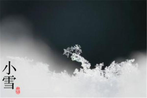 小雪吃什么食物養(yǎng)生 小雪吃什么蔬菜 小雪吃什么食物養(yǎng)生 小雪吃什么蔬菜