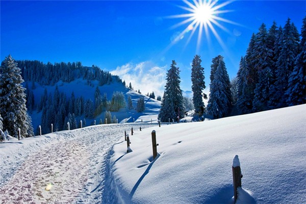 冬季補什么的好季節(jié) 冬季是補陽氣還是補陰 冬季補什么的好季節(jié) 冬季是補陽氣還是補陰