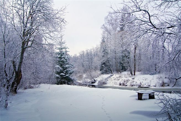 冬季補什么的好季節(jié) 冬季是補陽氣還是補陰 冬季補什么的好季節(jié) 冬季是補陽氣還是補陰