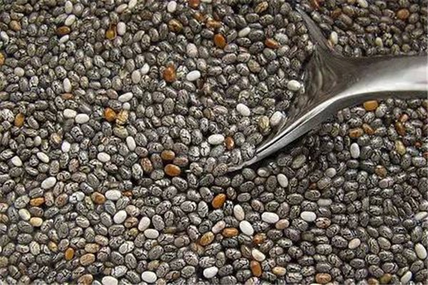 奇亞籽可以改善便秘嗎 奇亞籽對便秘有效果嗎 奇亞籽可以改善便秘嗎 奇亞籽對便秘有效果嗎