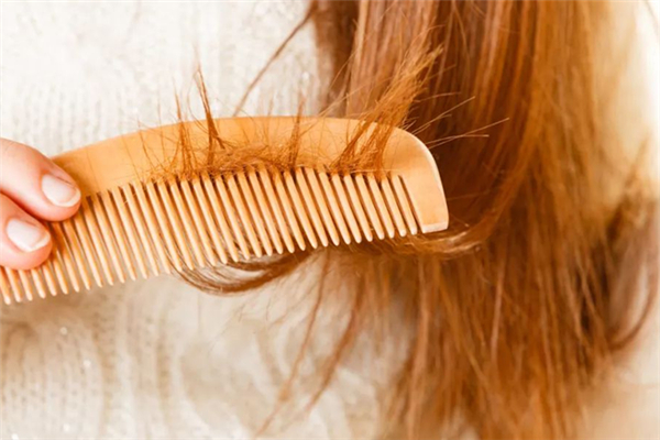 頭發(fā)有分叉會(huì)不會(huì)影響頭發(fā)的生長 頭發(fā)有分叉的原因 頭發(fā)有分叉會(huì)不會(huì)影響頭發(fā)的生長 頭發(fā)有分叉的原因