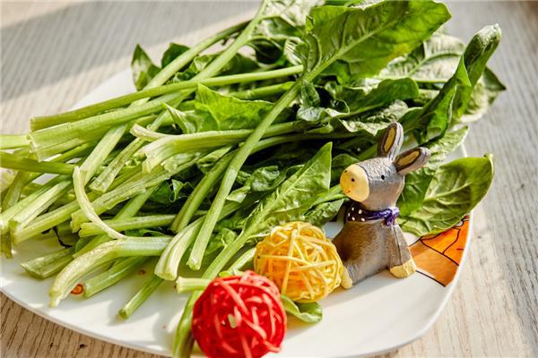 蔬菜上漲原因 蔬菜還會漲價嗎 蔬菜上漲原因 蔬菜還會漲價嗎