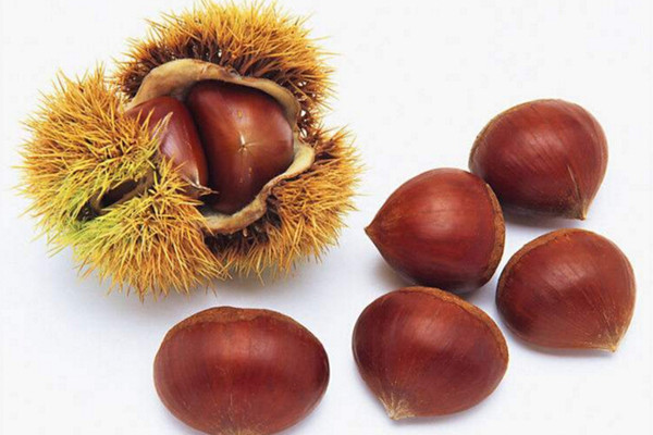 板栗的營養(yǎng)價(jià)值高嗎 板栗對身體有哪些好處 板栗的營養(yǎng)價(jià)值高嗎 板栗對身體有哪些好處