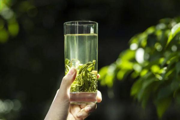 綠茶會導(dǎo)致失眠嗎 綠茶會導(dǎo)致便秘嗎 綠茶會導(dǎo)致失眠嗎 綠茶會導(dǎo)致便秘嗎