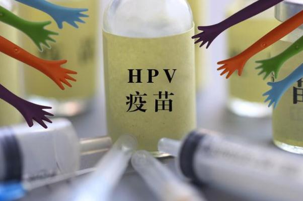 hpv疫苗的價位是多少 hpv疫苗打了多久不能懷孕 hpv疫苗的價位是多少 hpv疫苗打了多久不能懷孕