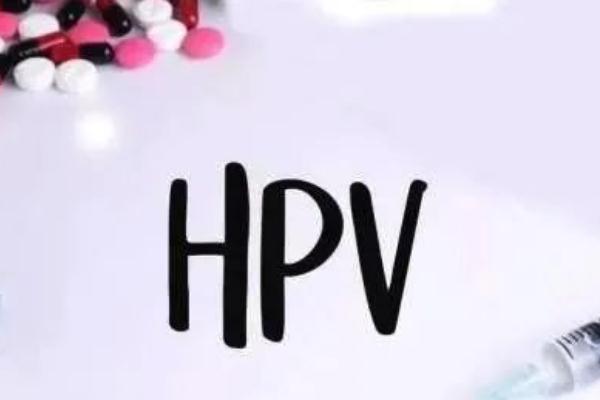 hpv疫苗的價位是多少 hpv疫苗打了多久不能懷孕 hpv疫苗的價位是多少 hpv疫苗打了多久不能懷孕