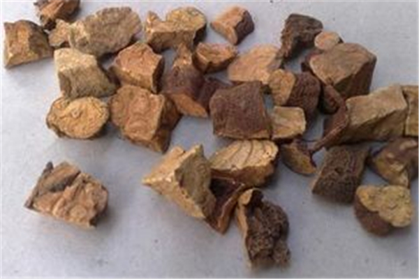 何首烏要煮多久可以食用 何首烏可以煲湯喝嗎 何首烏要煮多久可以食用 何首烏可以煲湯喝嗎